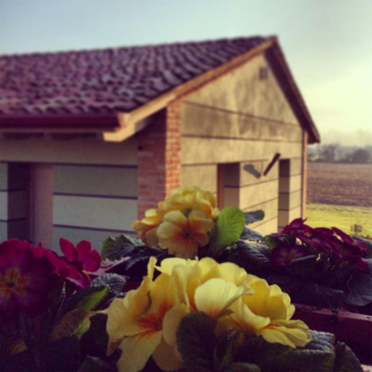Agriturismo Bassanine Monticelli dʼOngina 외부 사진