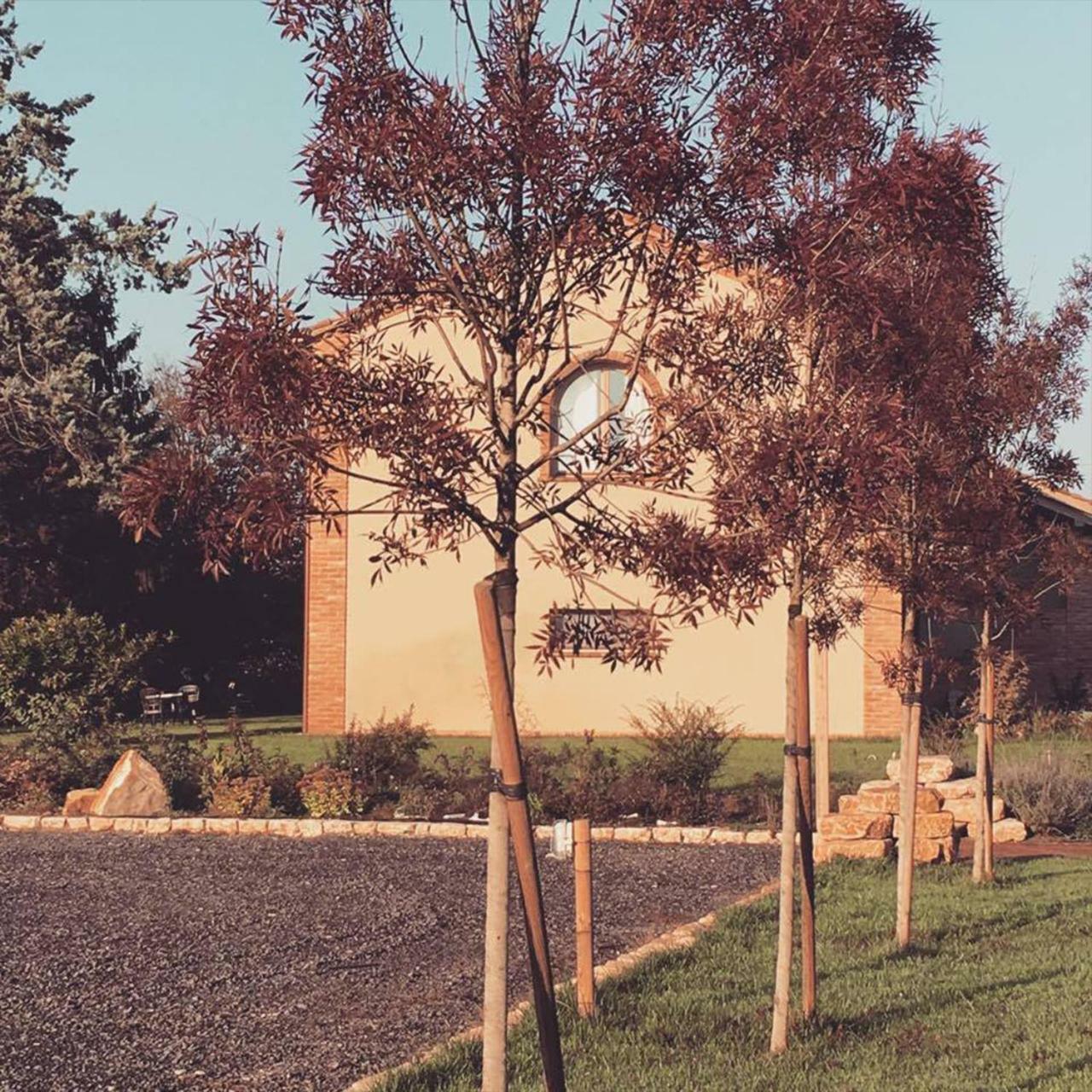 Agriturismo Bassanine Monticelli dʼOngina 외부 사진